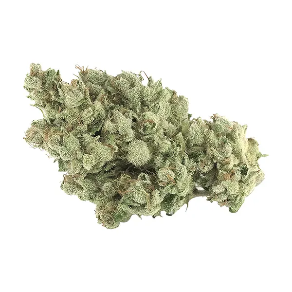 Product image for Tantalus Labs Cannabis Flower by Tantalus Labs