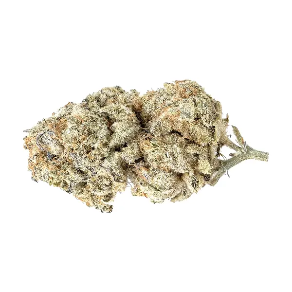 Bud image for OG Platinum Mints, cannabis all products by Tantalus Labs