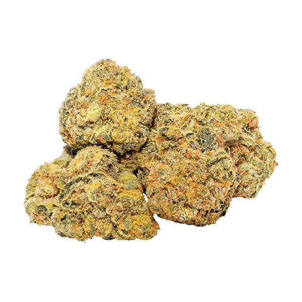 Bud image for Ghost OG, cannabis dried flower by Tuck Shop
