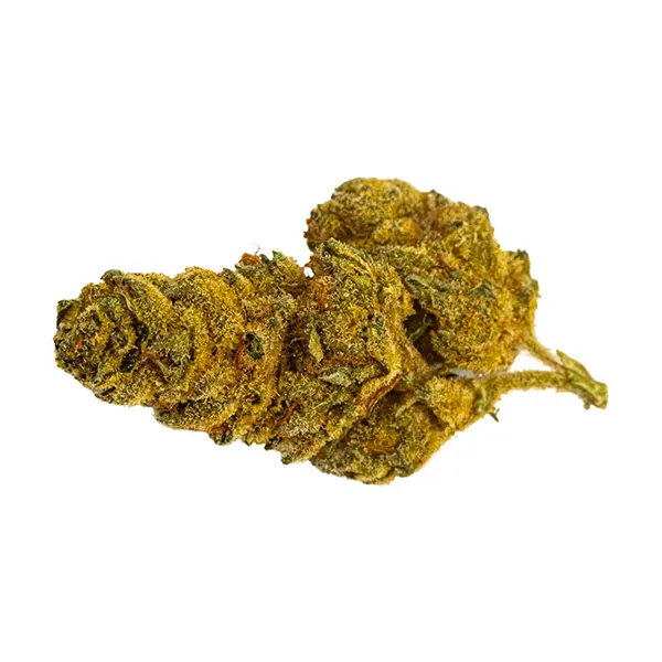 Image for Wreck & Leisure