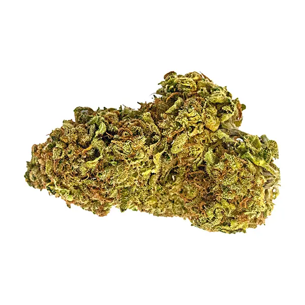 Bud image for Niagara's Own, cannabis dried flower by Dykstra Greenhouses