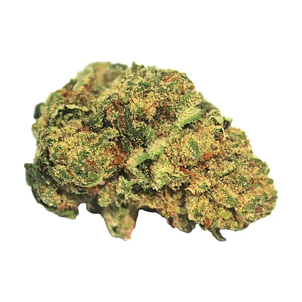 Image for Hash Plant