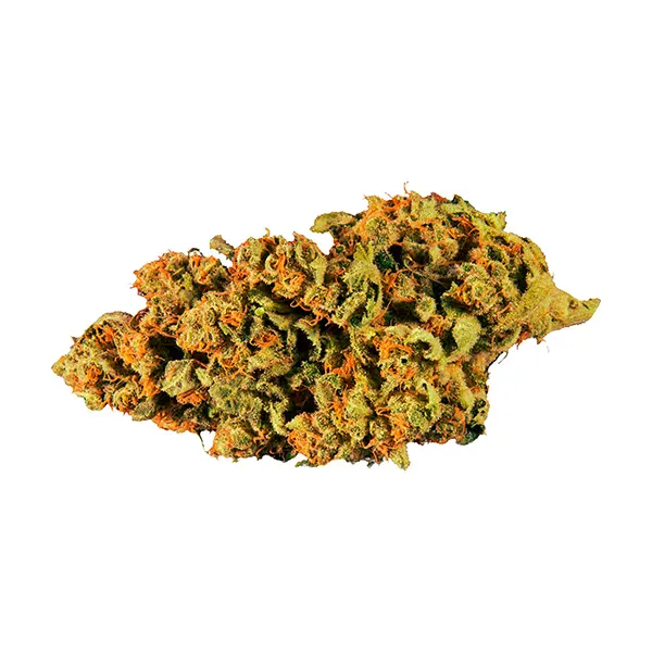 Bud image for Dawg Walker, cannabis all products by Pawt Shop