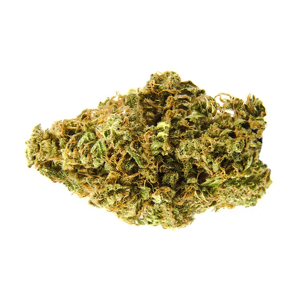 Bud image for Sour Kush, cannabis popular in dried flower by Divvy
