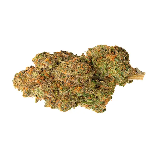 Bud image for Pineapple Nuken, cannabis all products by Divvy
