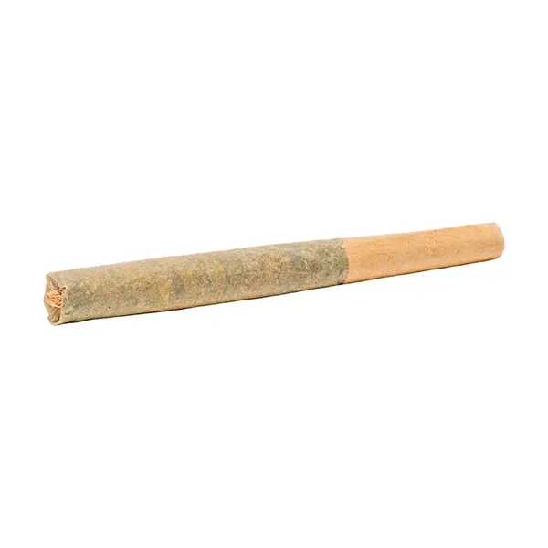 Roll Up Sativa P..