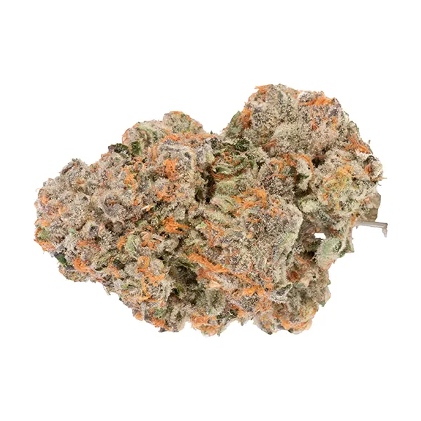 Jungle Fire