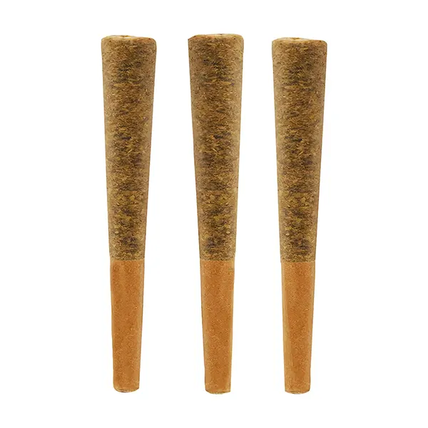 Image for Dreams Pre-Roll