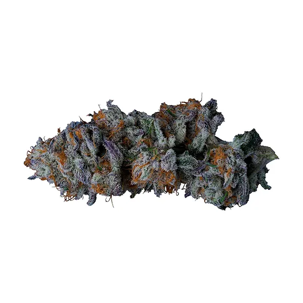 Bud image for CB Single Rotating Strain Flower, cannabis all products by Cannabis Brothers