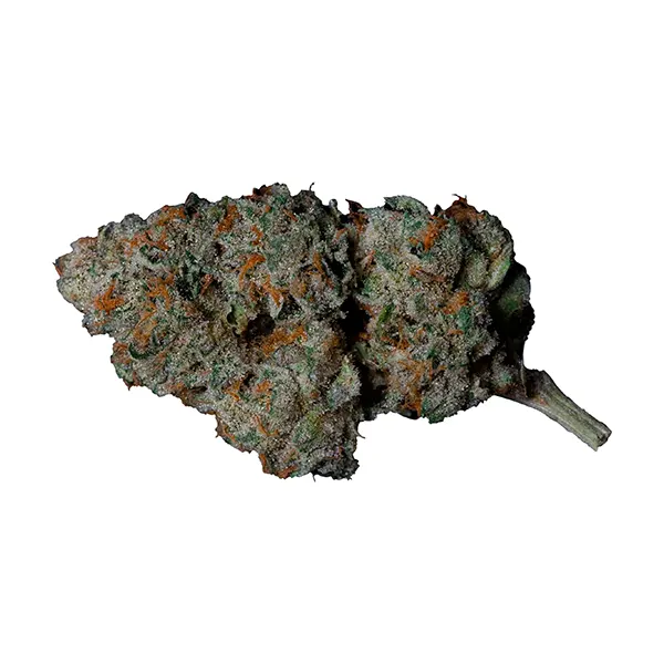 Bud image for Lemon Cherry Gelato, cannabis dried flower by Cannabis Brothers