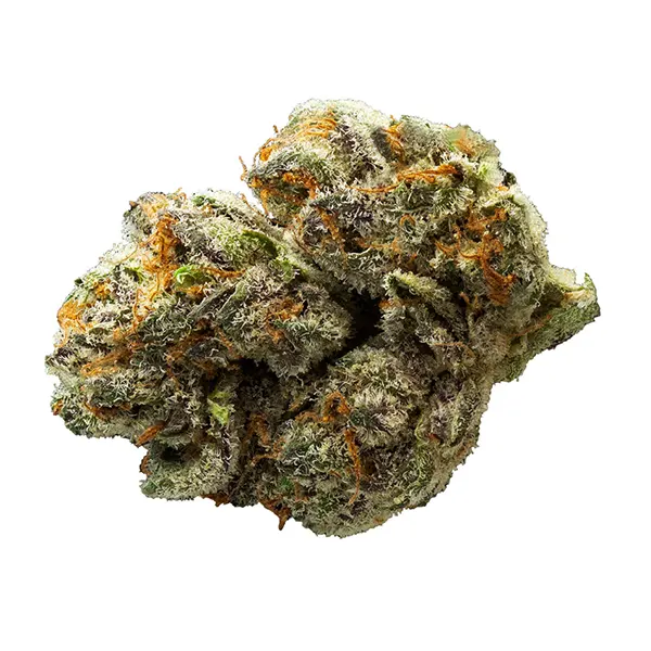 Bud image for Mighty Mini's, cannabis all products by Muskoka Grown