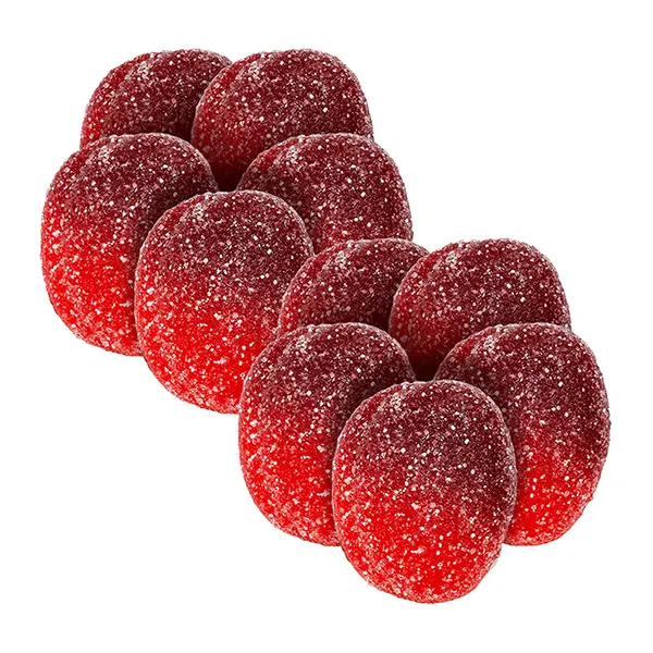 Image for 10 Pack Edible Bundle