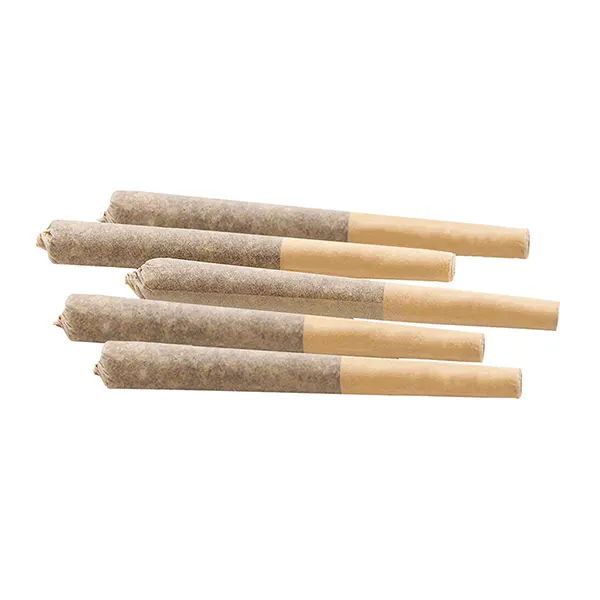 Image for 33 Splitter Craft Pre-Rolls