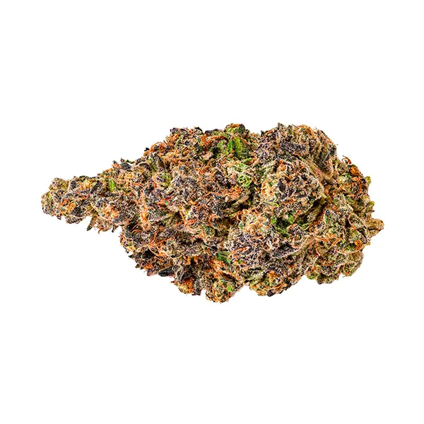 Bud image for Alien Kush, cannabis all products by Cheers Cannabis