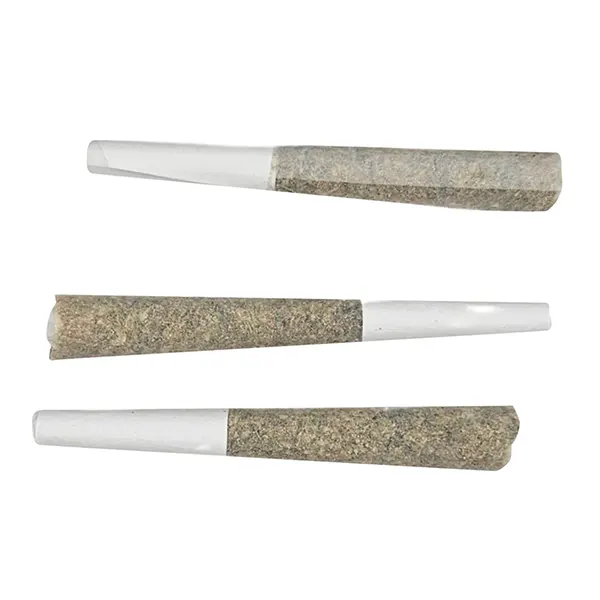 Image for Alter Ego Pre-Roll