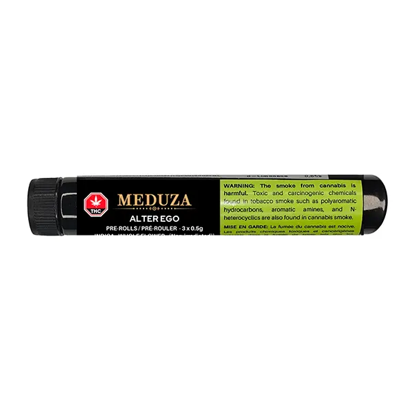 Alter Ego Pre-Roll (Pre-Rolls) by Meduza