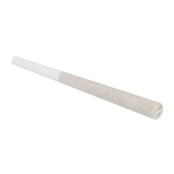Image for Amnesia Haze Pre-Roll