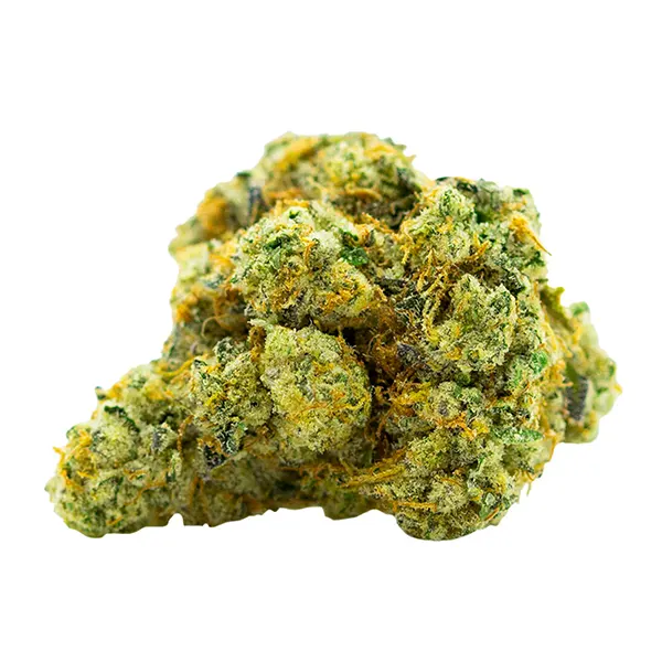 Image for Animal Face Cookies