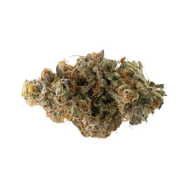 Bud image for Atomic Marker, cannabis all products by Northern Canna