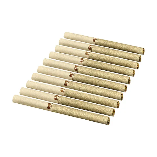 Image for Backpackers Pre-Roll - Liquid Imagination