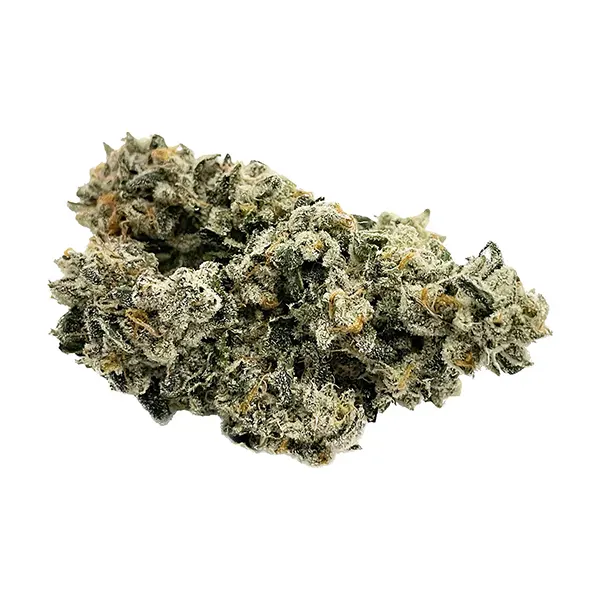 Bud image for Gas Pack, cannabis all products by Dom Jackson