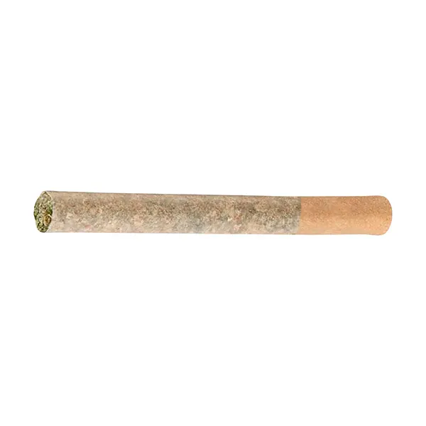 Image for BC Organic (LSO) Maple Blizzard Pre-Roll
