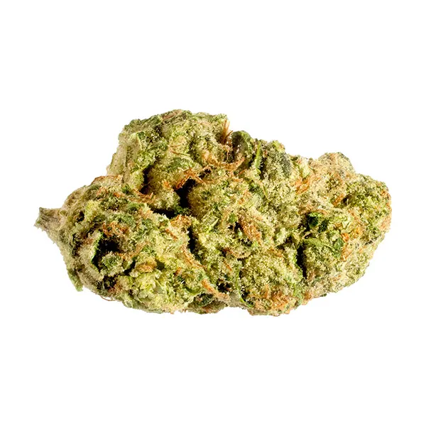 Image for Blanh Indica