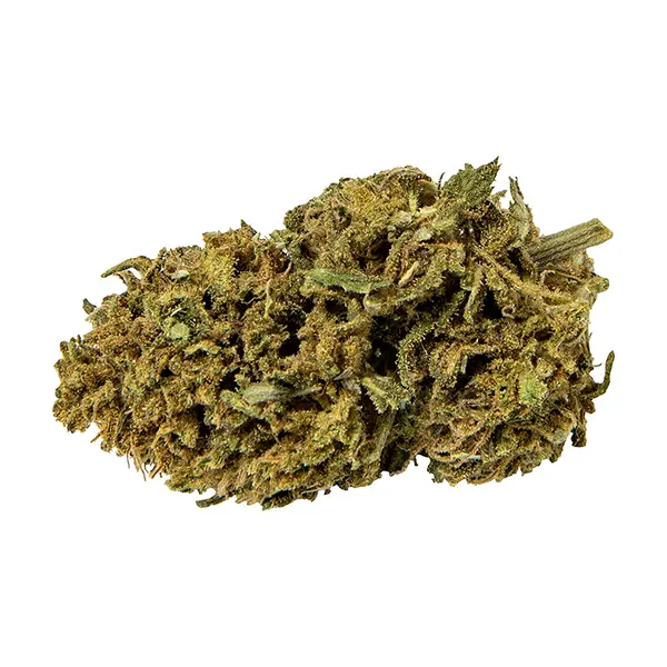 Image for Blueberry Bliss