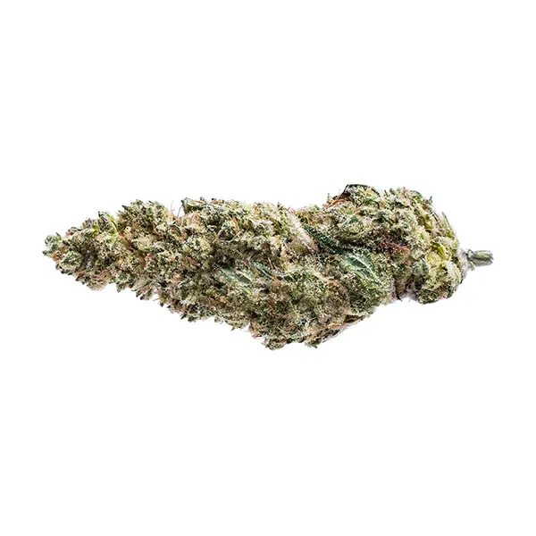 Image for Blue Dream #16