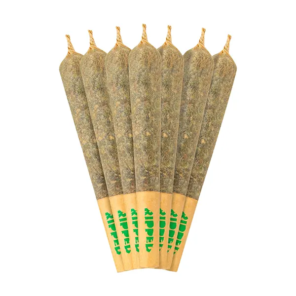 Image for Blue Imagination Pre-Roll