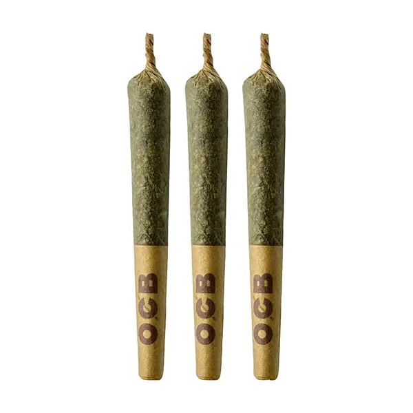 Image for Blue Ztarburzt Pre-Roll