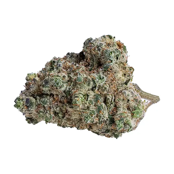 Image for Brain Cake