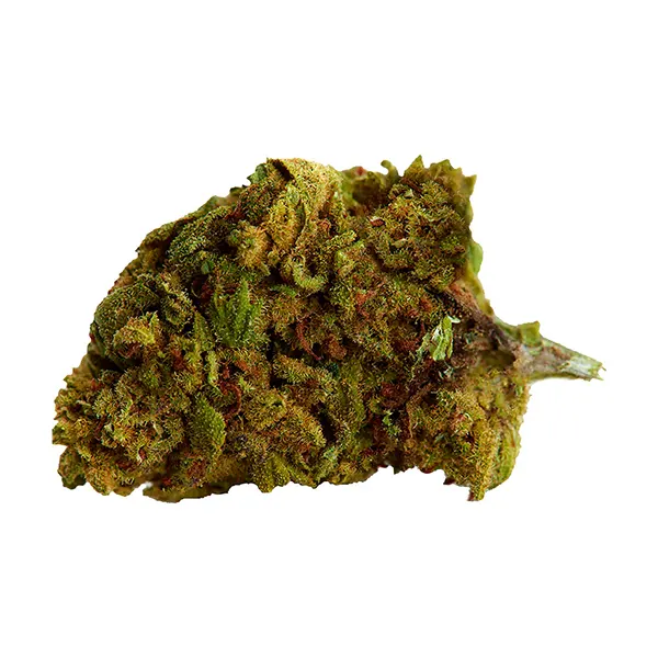Image for Bubba Kush