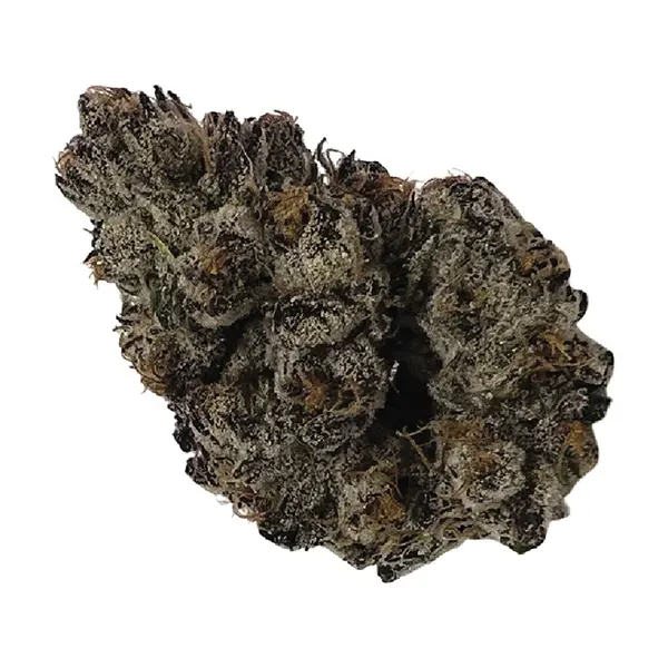 Image for Candy Bones