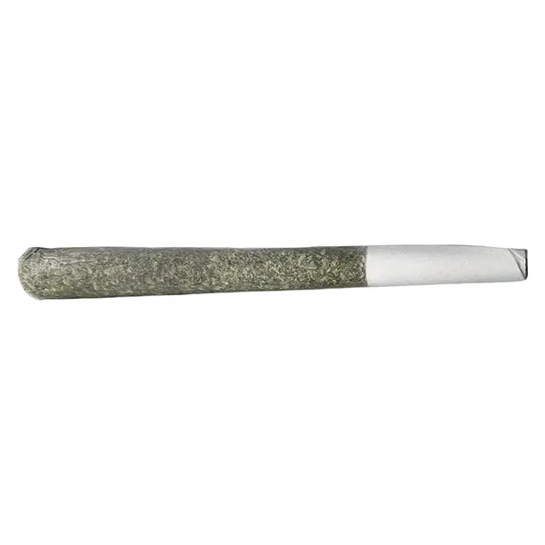 Candy Bones Pre-roll (Pre-Rolls) by Frost Cannabis