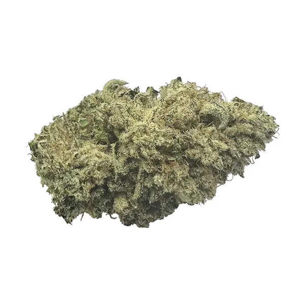 Image for Rotating Strain