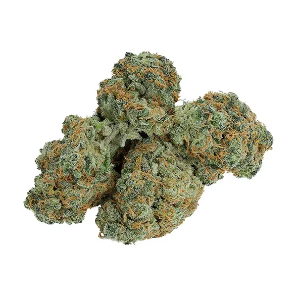 Image for Charged Sativa