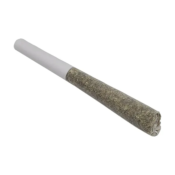 Image for Citrus Burst Pocket Rockets Infused Pre-roll