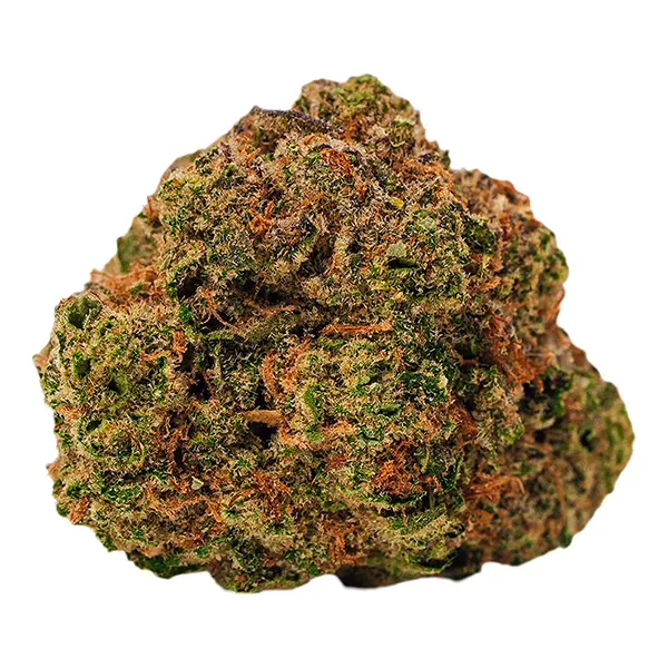 Image for Cool Aid Kush
