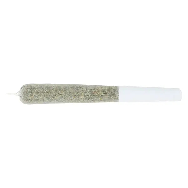 Image for Dank Spank Pre-Roll