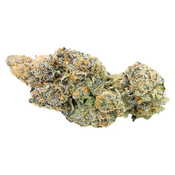 Image for White Hot Guava