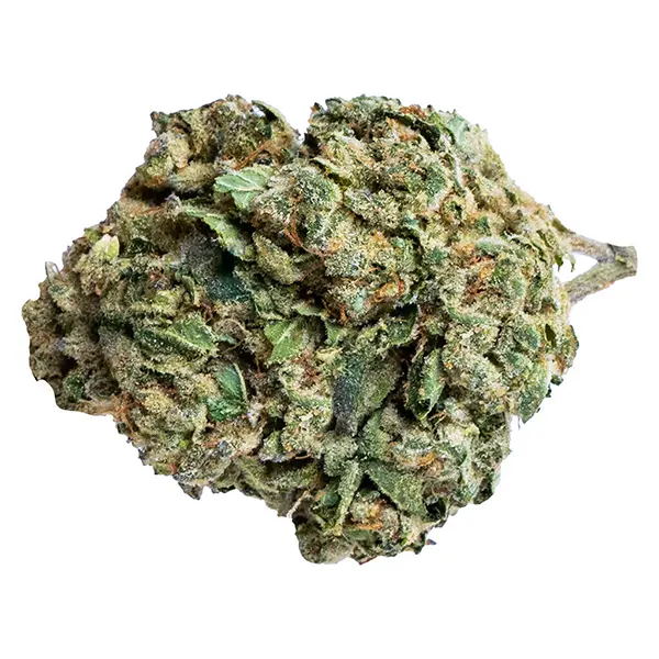 Image for Death Punch