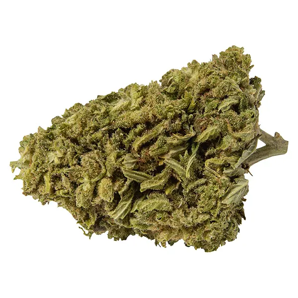 Image for Infused Premium CBD Flower