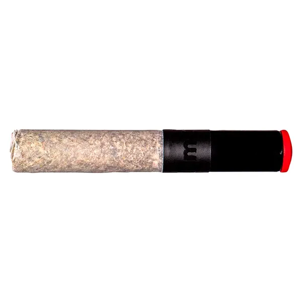 Image for Diamond Pave Ceramic Tip Cannon Pre-Roll