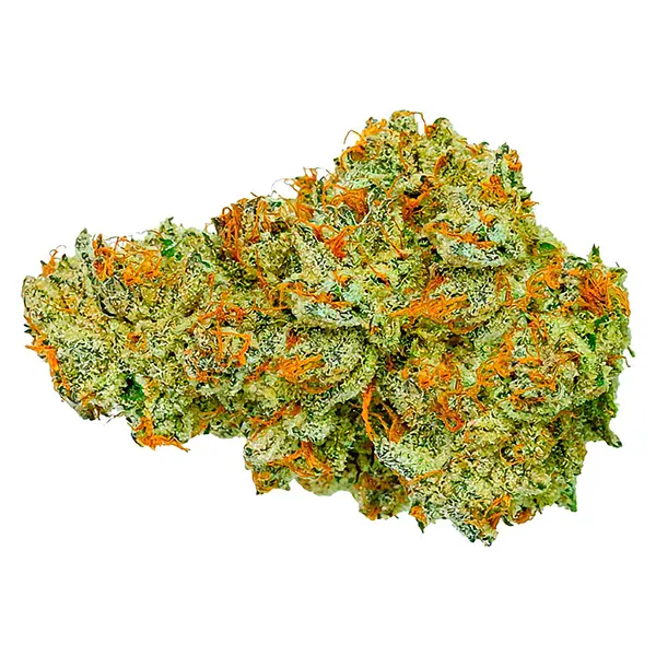 Image for Electric Daisy