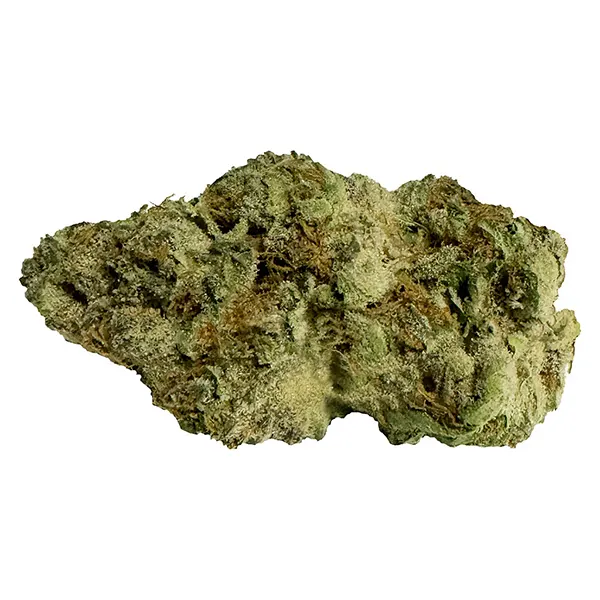 Image for Forbidden Applez