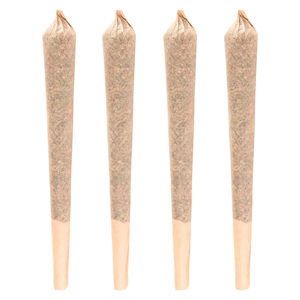 Forbidden Applez Pre-Roll (Pre-Rolls) by Fruit Drops