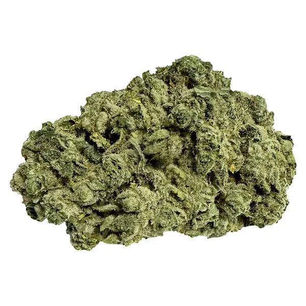 Image for Frozen Grapes