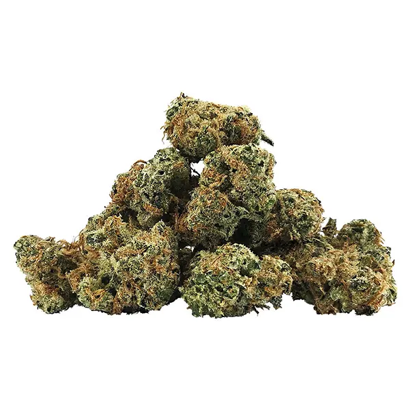 Image for Fortune Cookies Smalls