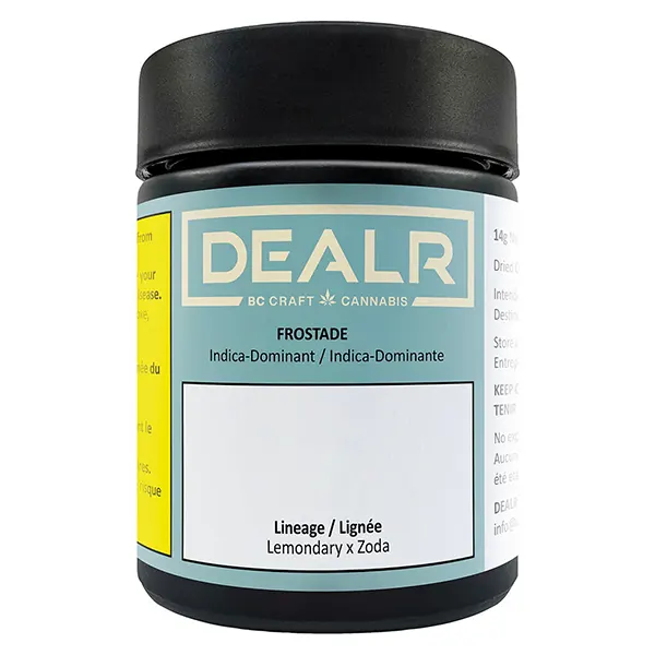 Frostade (Dried Flower) by DEALR